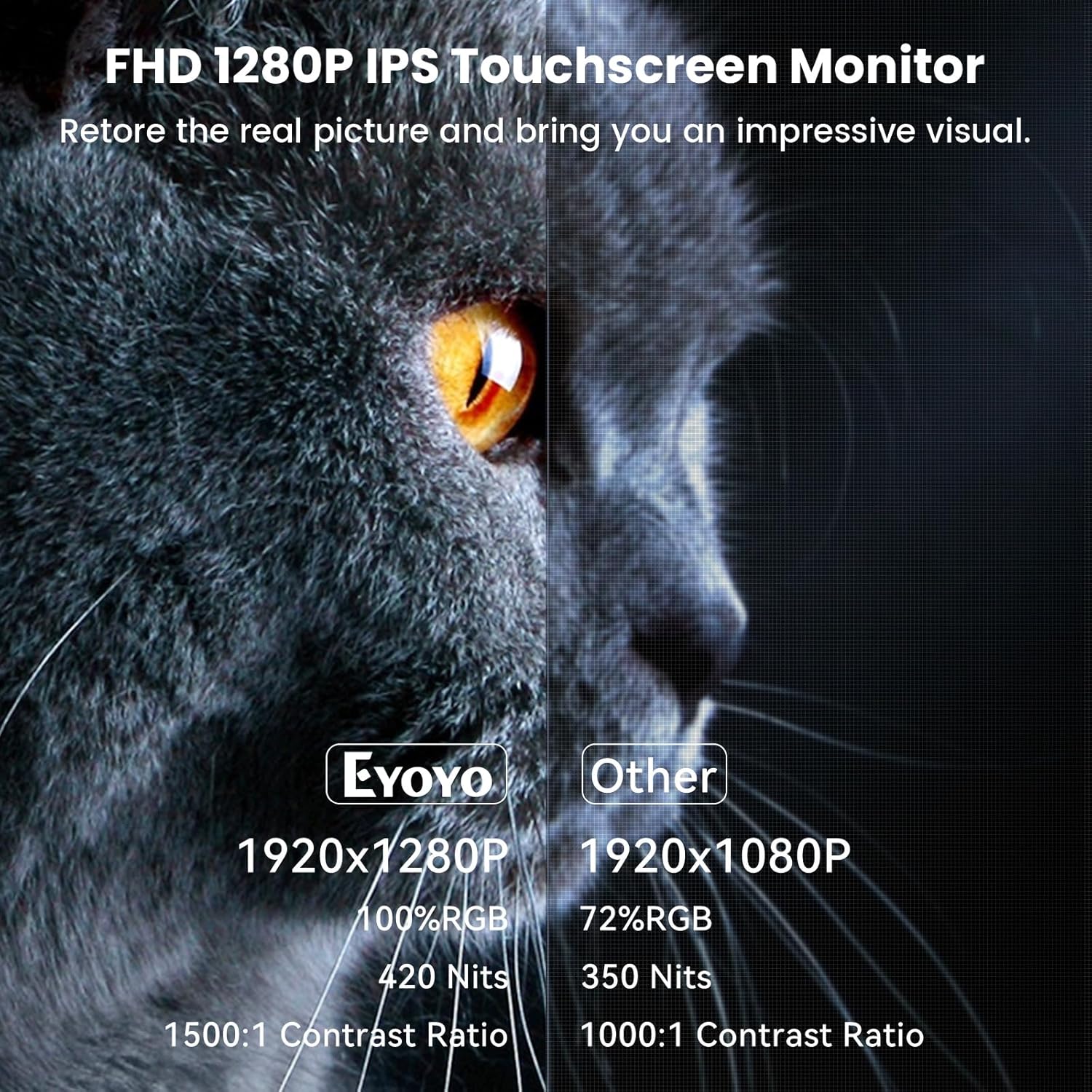 Eyoyo Portable Touchscreen Monitor, 10.5 inch 1920x1280P IPS 10-Point Capacitive Touchscreen HD Display, Small 10 inch USB-C Monitor Compatible with PC Laptop Smartphone Xbox Switch PS4/5 - Image 2