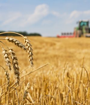 Why Large Farms Are Switching to John Deere Combine Machines in 2025 Why Large Farms Are Switching to John Deere Combine Machines in 2025