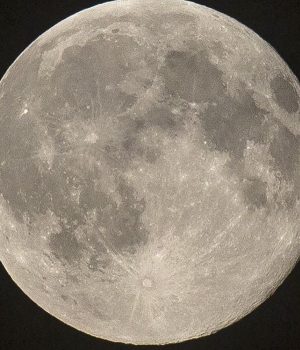 When can you spot this year’s Snow Moon, and where did it gets its name? | UK News